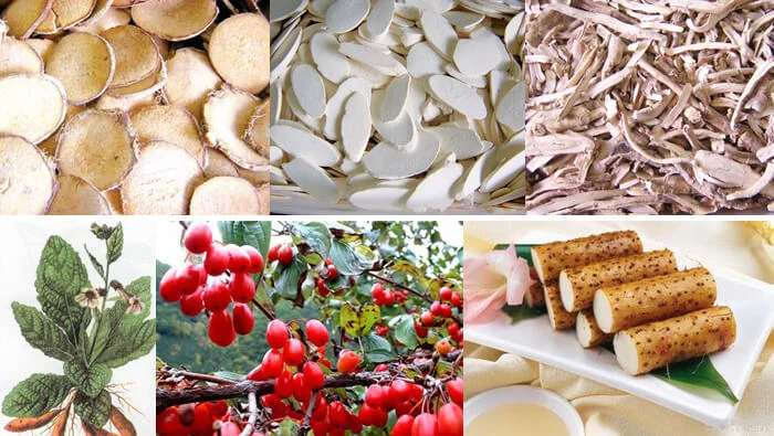 Bài thuốc Lục Vị "tiên dược" chữa táo bón mãn tính