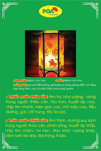 Tiên thiên, hậu thiên, thuỷ hoả: "Chữa vào gốc trăm bệnh đều khỏi"