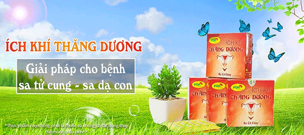 Sa tử cung người già: nguyên nhân, hướng điều trị hiệu quả