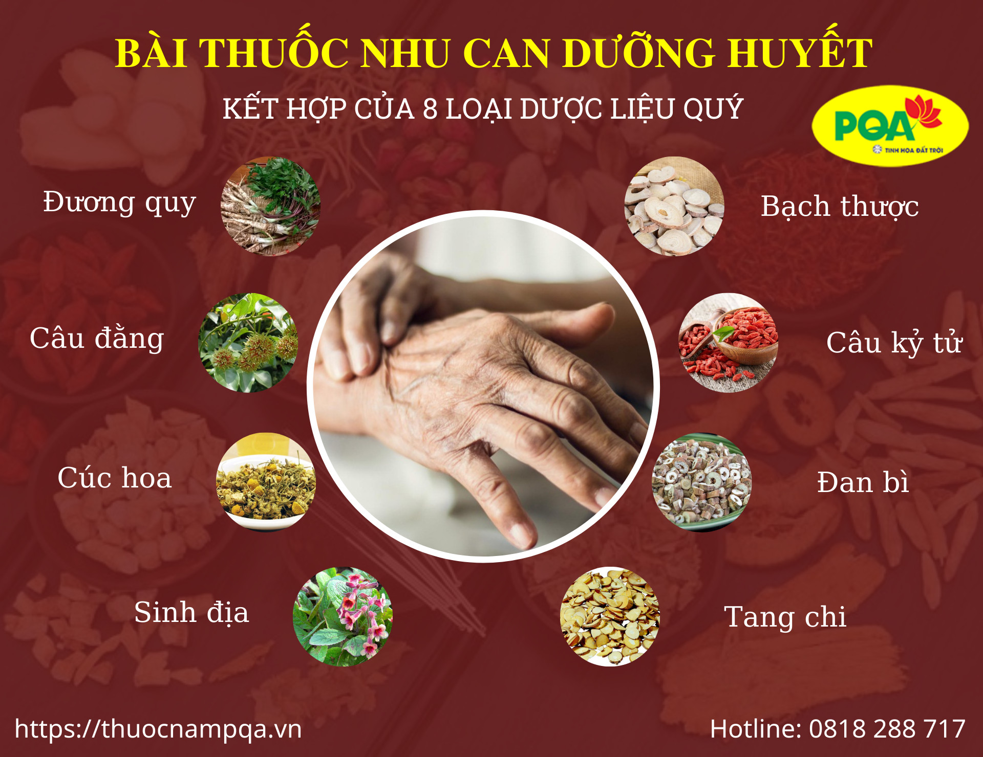 "Nhu Can Dưỡng Huyết" bài thuốc hỗ trợ điều trị Parkinson hiệu quả