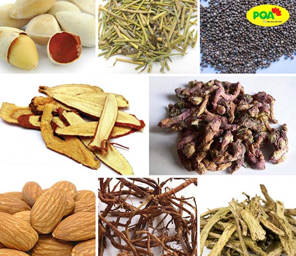 Định Suyễn Thang - Bài thuốc Đông y hỗ trợ điều trị hen suyễn