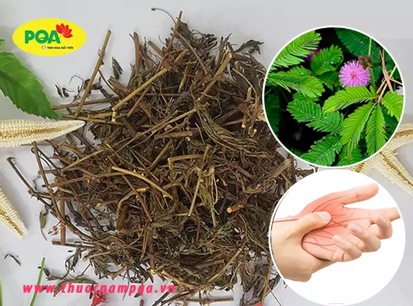 7+ Cách chữa bệnh tê bì chân tay bằng Đông y cực kỳ hiệu quả