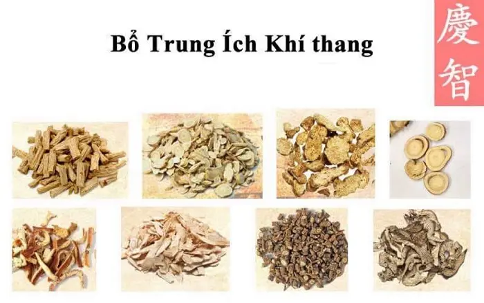 Bổ trung ích khí thang - Bài thuốc Đông y hỗ trợ phục hồi sa tử cung hiệu quả