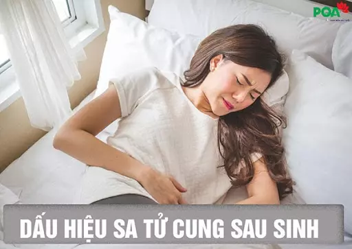 7 dấu hiệu sa tử cung sau sinh - cảnh báo cơ thể không tốt